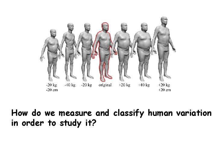 How do we measure and classify human variation in order to study it? 