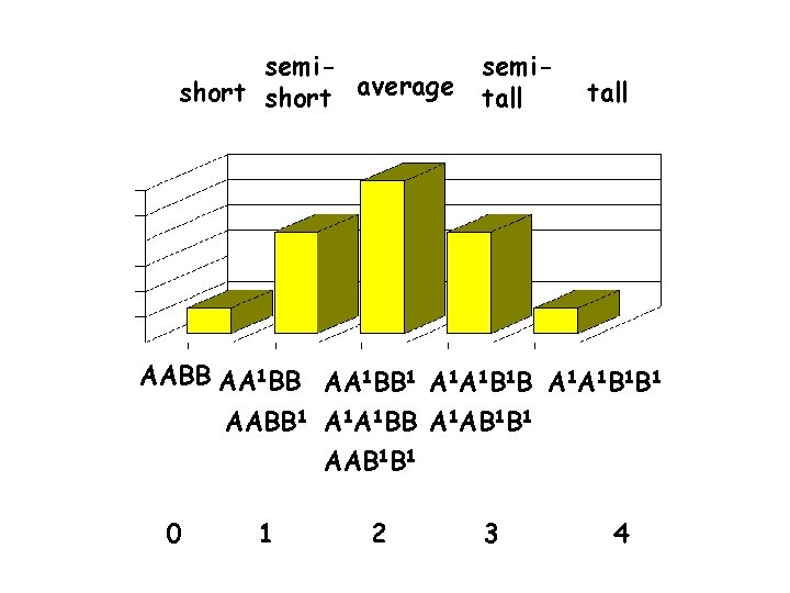 semishort average semitall AABB AA 1 BB 1 A 1 A 1 B 1