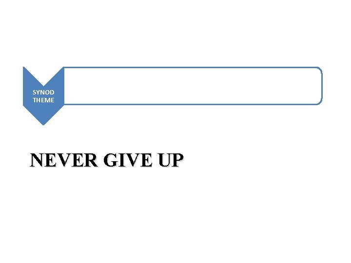 SYNOD THEME NEVER GIVE UP 
