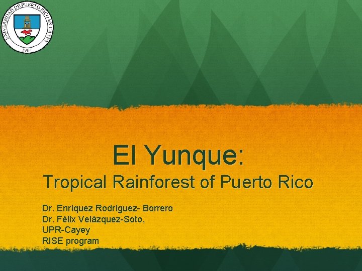 El Yunque: Tropical Rainforest of Puerto Rico Dr. Enríquez Rodríguez- Borrero Dr. Félix Velázquez-Soto,