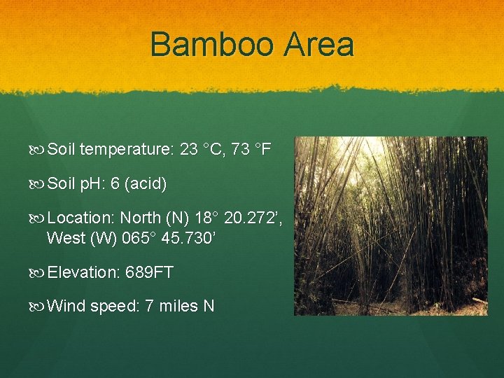 Bamboo Area Soil temperature: 23 °C, 73 °F Soil p. H: 6 (acid) Location: