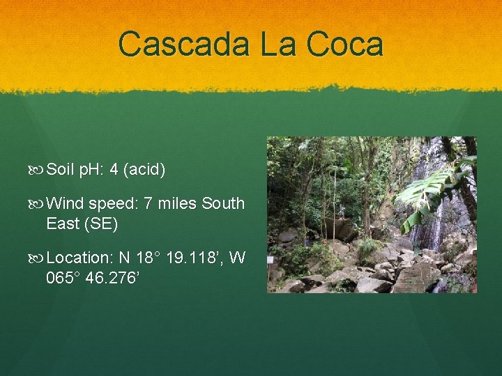 Cascada La Coca Soil p. H: 4 (acid) Wind speed: 7 miles South East