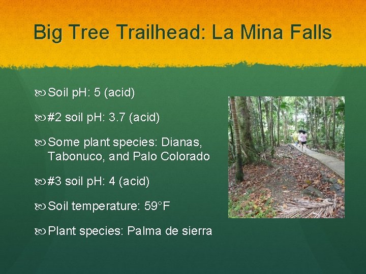 Big Tree Trailhead: La Mina Falls Soil p. H: 5 (acid) #2 soil p.