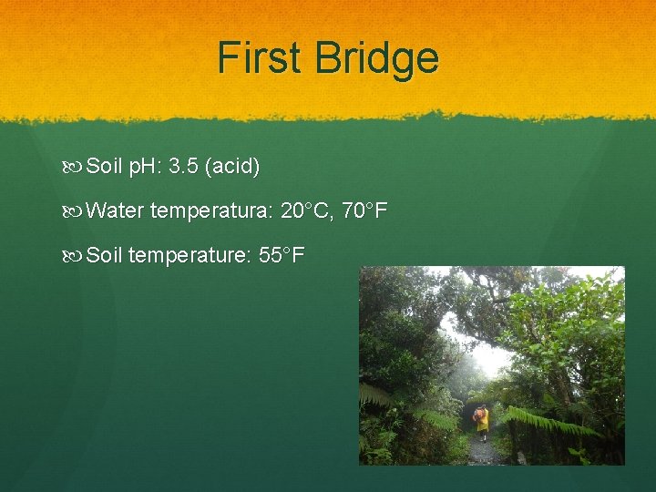 First Bridge Soil p. H: 3. 5 (acid) Water temperatura: 20°C, 70°F Soil temperature: