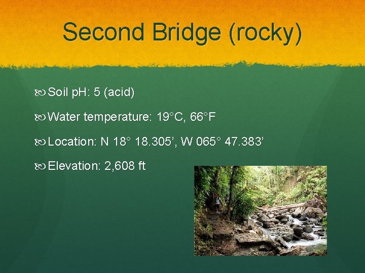 Second Bridge (rocky) Soil p. H: 5 (acid) Water temperature: 19°C, 66°F Location: N