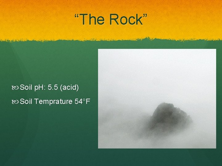 “The Rock” Soil p. H: 5. 5 (acid) Soil Temprature 54°F 