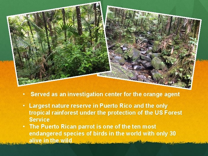  • Served as an investigation center for the orange agent • Largest nature