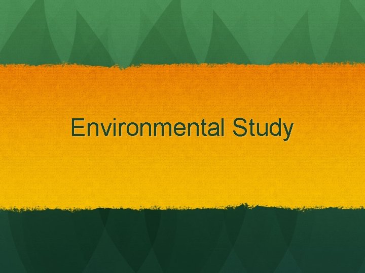 Environmental Study 
