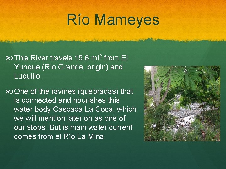 Río Mameyes This River travels 15. 6 mi 2 from El Yunque (Rio Grande,