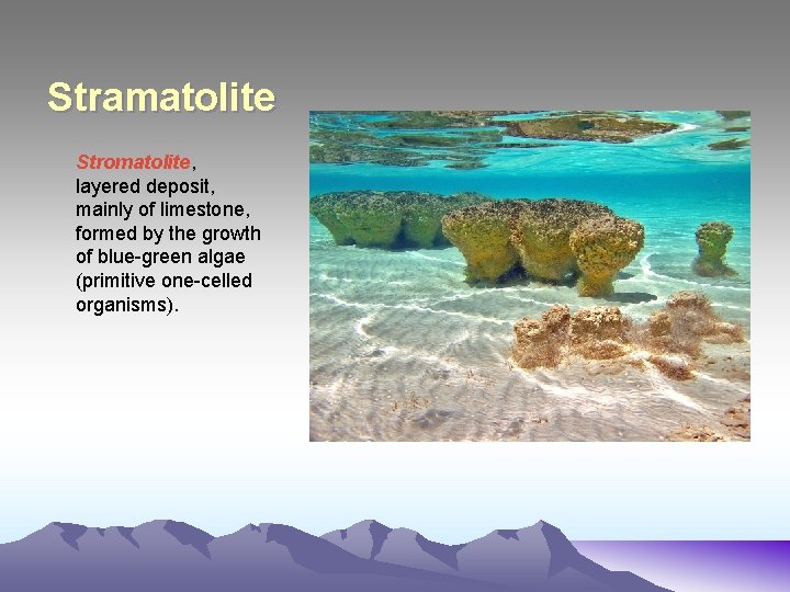 Stramatolite Stromatolite, layered deposit, mainly of limestone, formed by the growth of blue-green algae