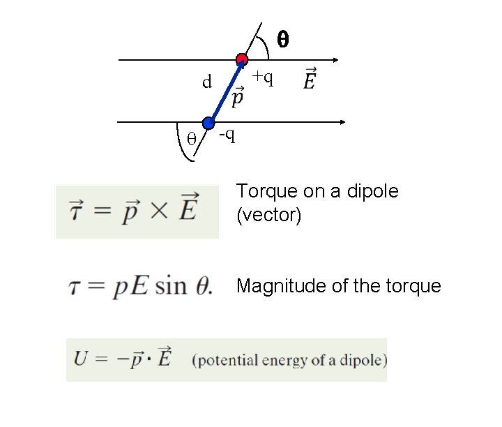 q d q +q -q Torque on a dipole (vector) Magnitude of the torque