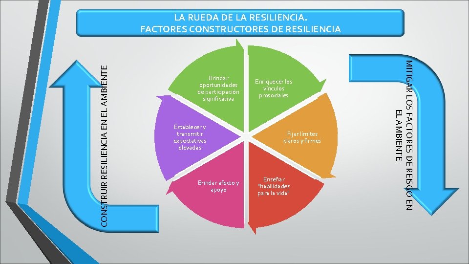 Brindar oportunidades de participación significativa Establecer y transmitir expectativas elevadas Brindar afecto y apoyo Brindar oportunidades de participación significativa Establecer y transmitir expectativas elevadas Brindar afecto y apoyo