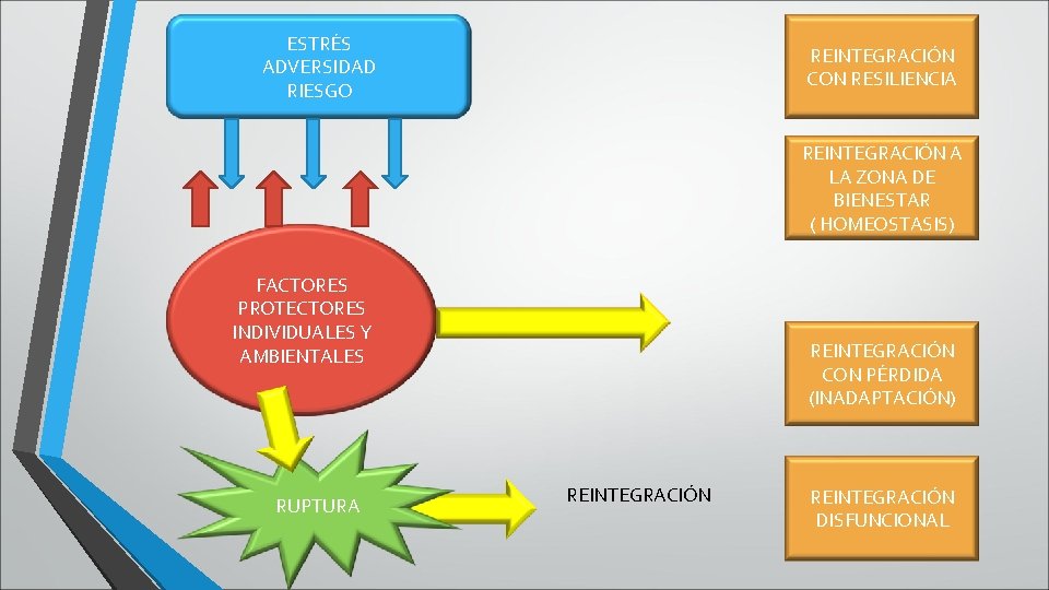 ESTRÉS ADVERSIDAD RIESGO REINTEGRACIÓN CON RESILIENCIA REINTEGRACIÓN A LA ZONA DE BIENESTAR ( HOMEOSTASIS) ESTRÉS ADVERSIDAD RIESGO REINTEGRACIÓN CON RESILIENCIA REINTEGRACIÓN A LA ZONA DE BIENESTAR ( HOMEOSTASIS)