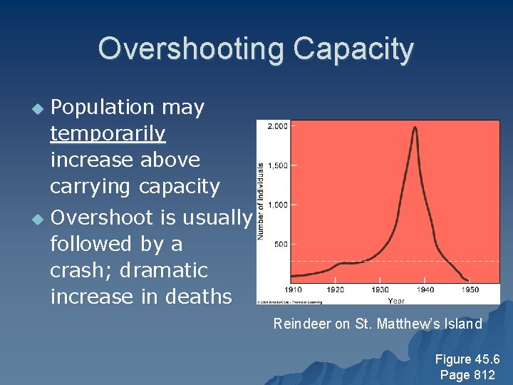 Overshooting Capacity u u Population may temporarily increase above carrying capacity Overshoot is usually