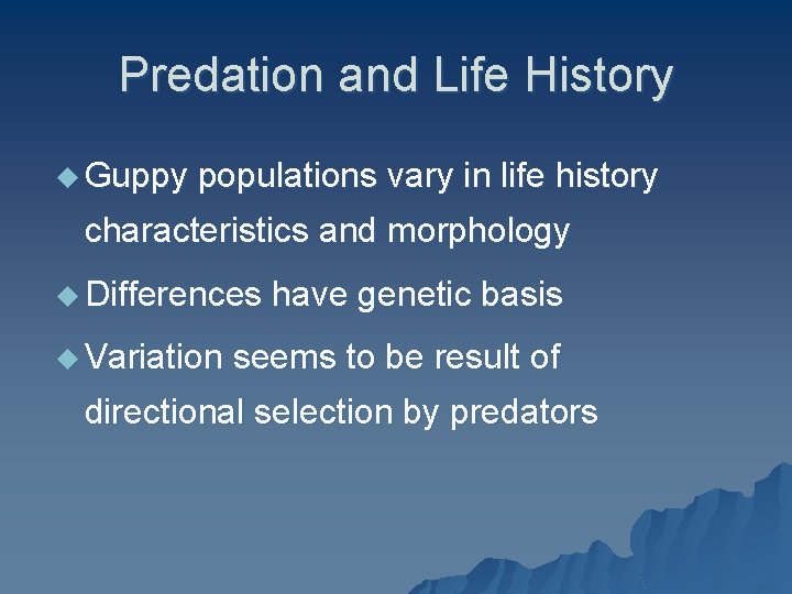 Predation and Life History u Guppy populations vary in life history characteristics and morphology