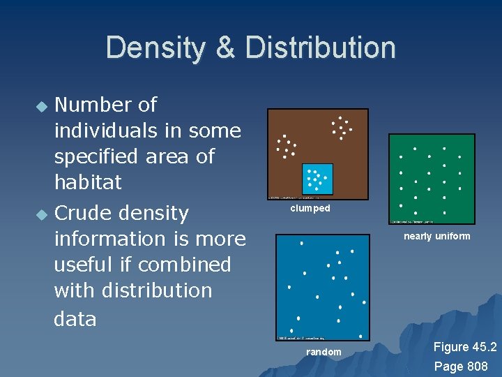 Density & Distribution u u Number of individuals in some specified area of habitat