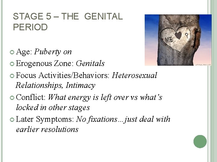 STAGE 5 – THE GENITAL PERIOD Age: Puberty on Erogenous Zone: Genitals Focus Activities/Behaviors: