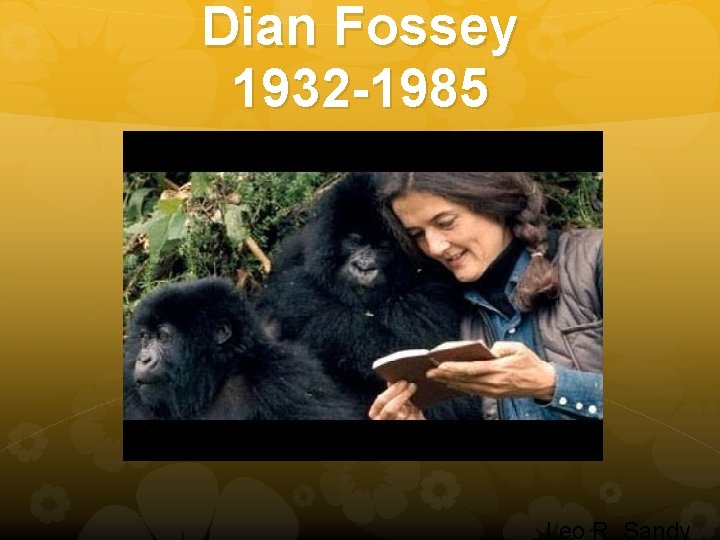 Dian Fossey 1932 -1985 Leo R. Sandy 