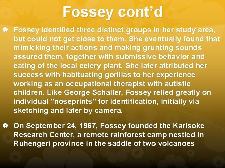 Fossey cont’d Fossey identified three distinct groups in her study area, but could not