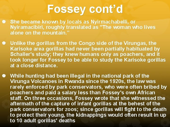 Fossey cont’d She became known by locals as Nyirmachabelli, or Nyiramacibiri, roughly translated as