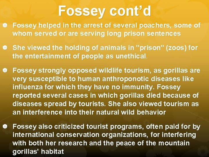 Fossey cont’d Fossey helped in the arrest of several poachers, some of whom served