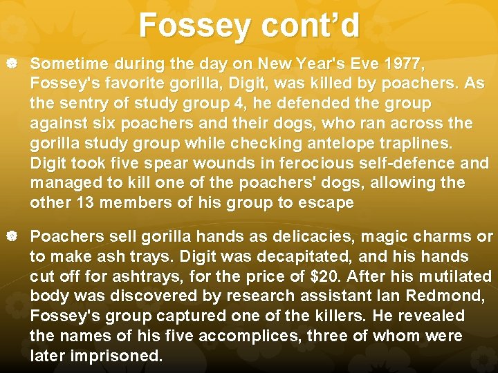 Fossey cont’d Sometime during the day on New Year's Eve 1977, Fossey's favorite gorilla,