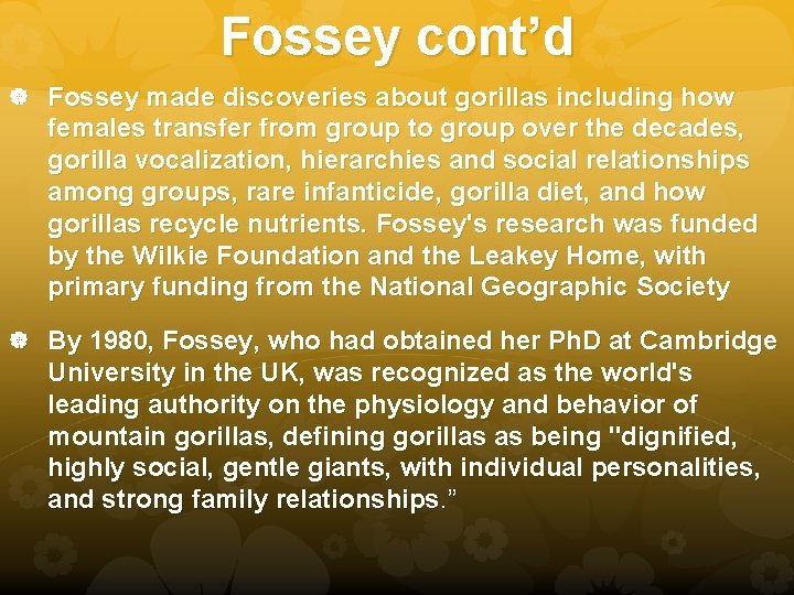 Fossey cont’d Fossey made discoveries about gorillas including how females transfer from group to