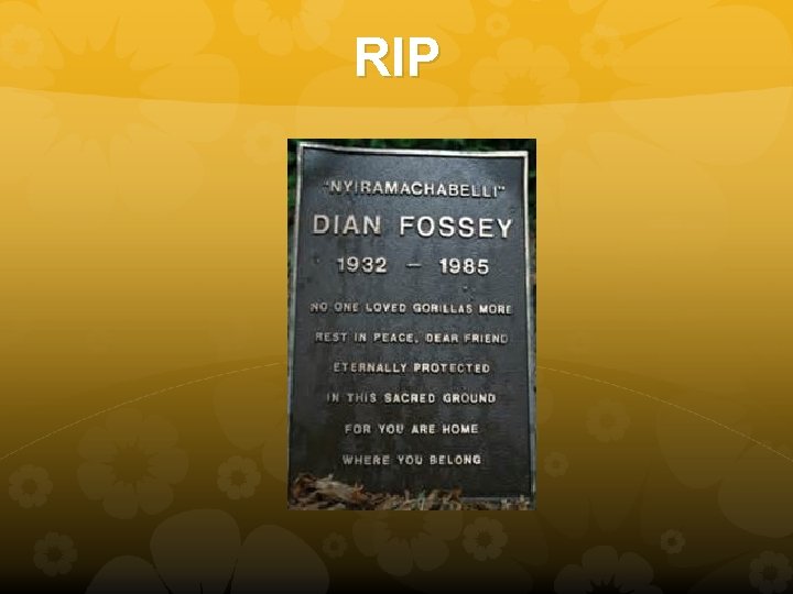 RIP 