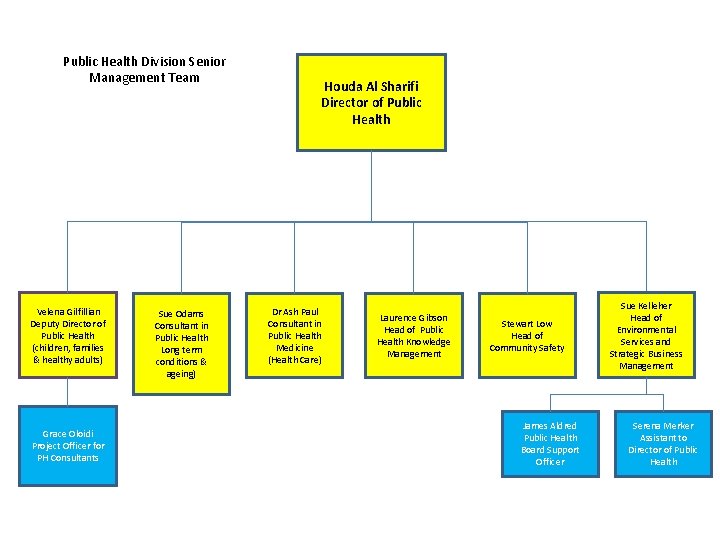 Public Health Division Senior Management Team Velena Gilfillian Deputy Director of Public Health (children,