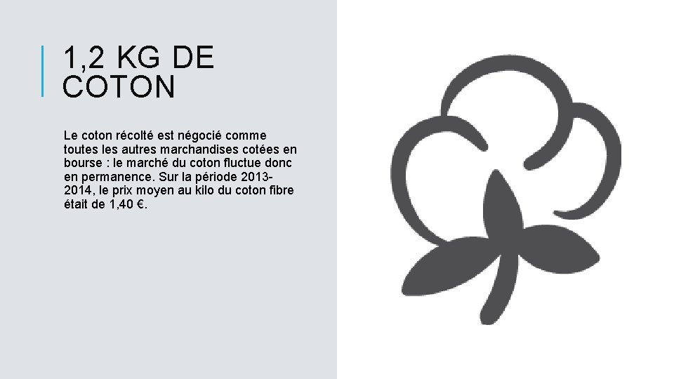 1, 2 KG DE COTON Le coton récolté est négocié comme toutes les autres