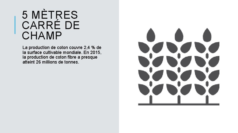 5 MÈTRES CARRÉ DE CHAMP La production de coton couvre 2, 4 % de
