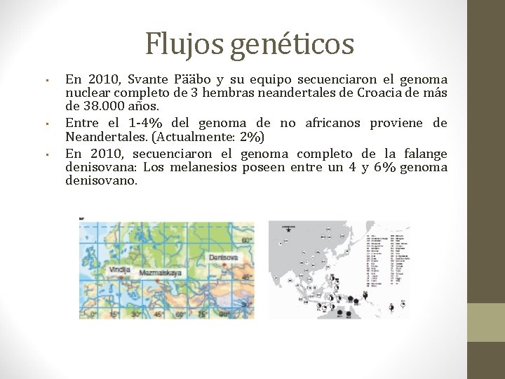 Flujos genéticos • • • En 2010, Svante Pääbo y su equipo secuenciaron el Flujos genéticos • • • En 2010, Svante Pääbo y su equipo secuenciaron el