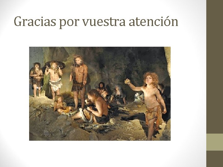 Gracias por vuestra atención Gracias por vuestra atención