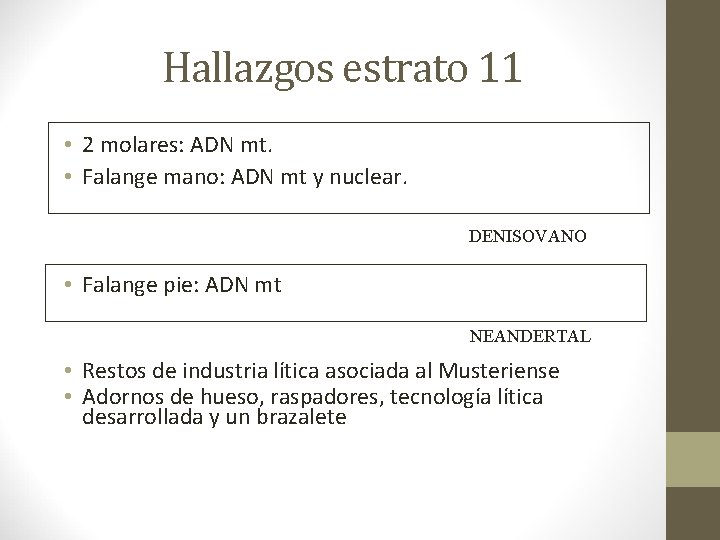 Hallazgos estrato 11 • 2 molares: ADN mt. • Falange mano: ADN mt y Hallazgos estrato 11 • 2 molares: ADN mt. • Falange mano: ADN mt y