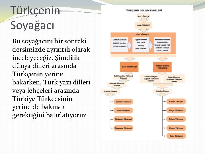 Türkçenin Soyağacı Bu soyağacını bir sonraki dersimizde ayrıntılı olarak inceleyeceğiz. Şimdilik dünya dilleri arasında