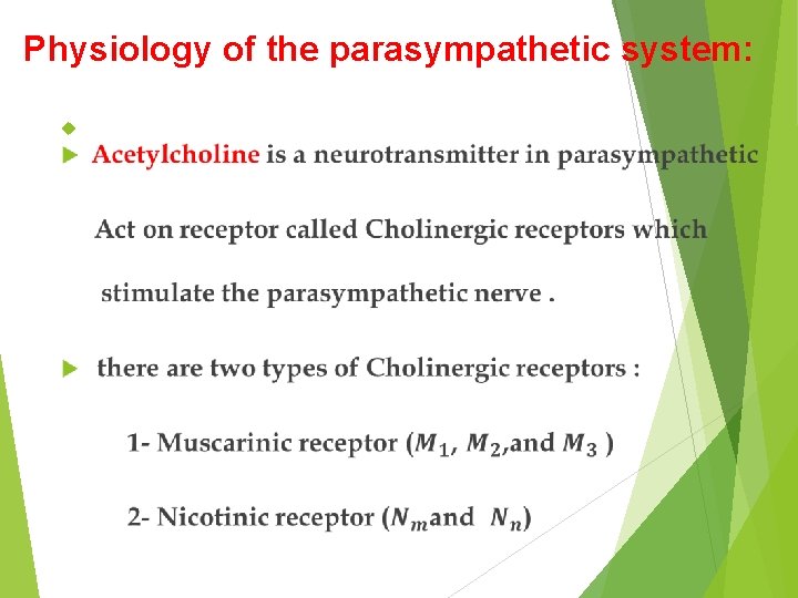 Physiology of the parasympathetic system: 