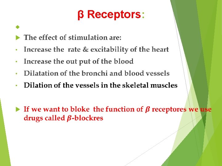 β Receptors: 