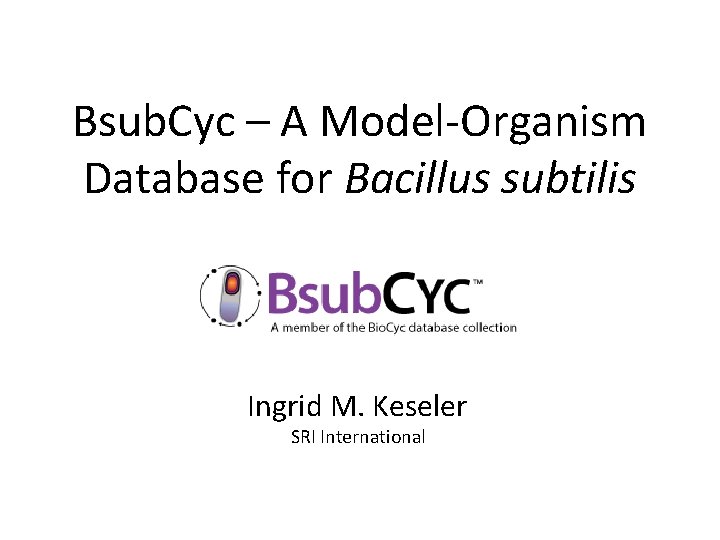 Bsub. Cyc – A Model-Organism Database for Bacillus subtilis Ingrid M. Keseler SRI International