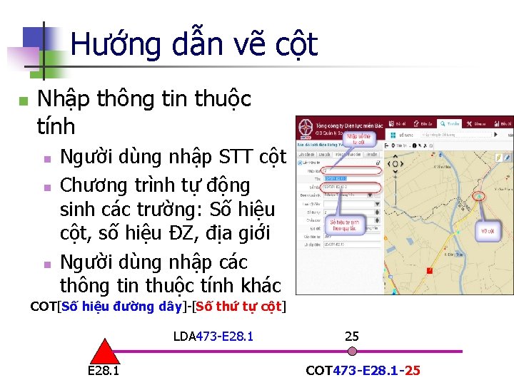 Hướng dẫn vẽ cột n Nhập thông tin thuộc tính n n n Người