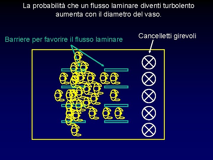 La probabilità che un flusso laminare diventi turbolento aumenta con il diametro del vaso. La probabilità che un flusso laminare diventi turbolento aumenta con il diametro del vaso.