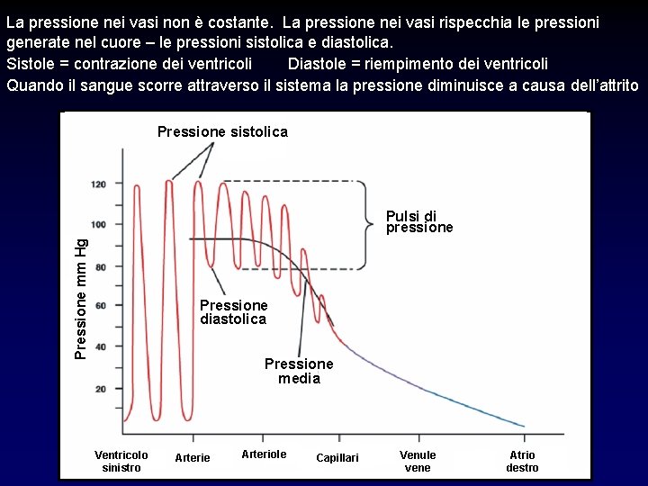La pressione nei vasi non è costante. La pressione nei vasi rispecchia le pressioni La pressione nei vasi non è costante. La pressione nei vasi rispecchia le pressioni