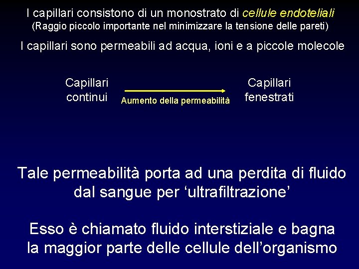 I capillari consistono di un monostrato di cellule endoteliali (Raggio piccolo importante nel minimizzare I capillari consistono di un monostrato di cellule endoteliali (Raggio piccolo importante nel minimizzare