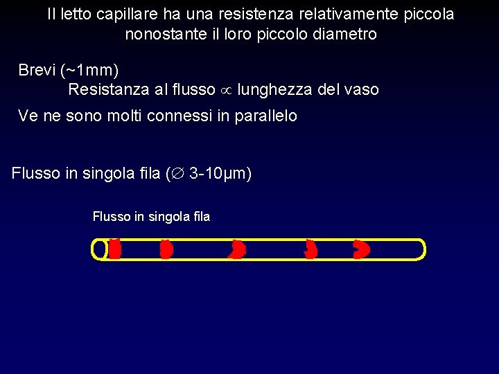 Il letto capillare ha una resistenza relativamente piccola nonostante il loro piccolo diametro Brevi Il letto capillare ha una resistenza relativamente piccola nonostante il loro piccolo diametro Brevi