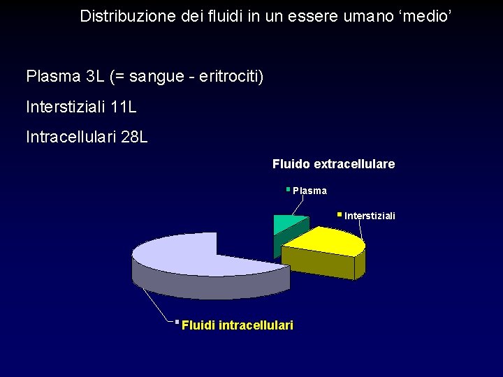 Distribuzione dei fluidi in un essere umano ‘medio’ Plasma 3 L (= sangue - Distribuzione dei fluidi in un essere umano ‘medio’ Plasma 3 L (= sangue -