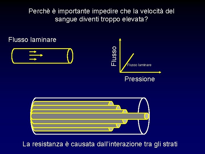 Perchè è importante impedire che la velocità del sangue diventi troppo elevata? Flusso laminare Perchè è importante impedire che la velocità del sangue diventi troppo elevata? Flusso laminare