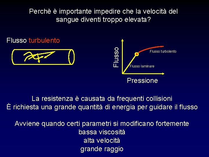 Perchè è importante impedire che la velocità del sangue diventi troppo elevata? Flusso turbulento Perchè è importante impedire che la velocità del sangue diventi troppo elevata? Flusso turbulento