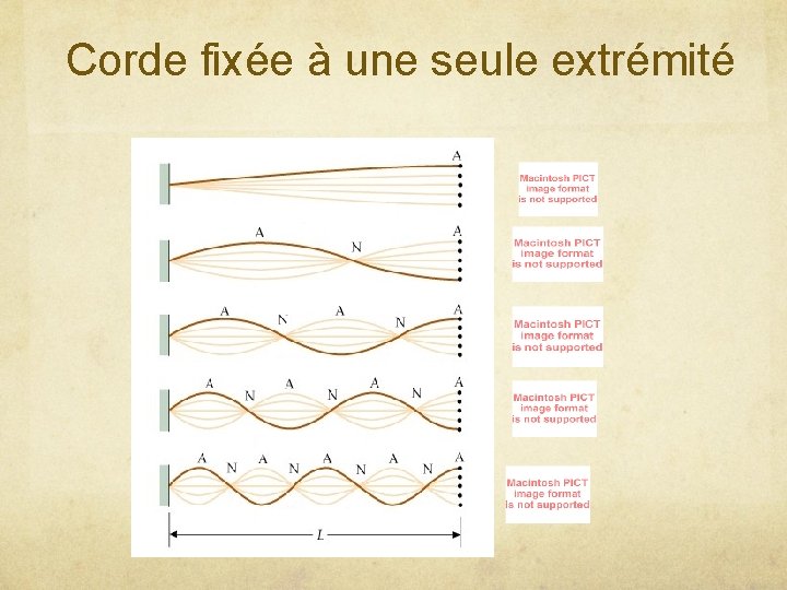 Corde fixée à une seule extrémité 