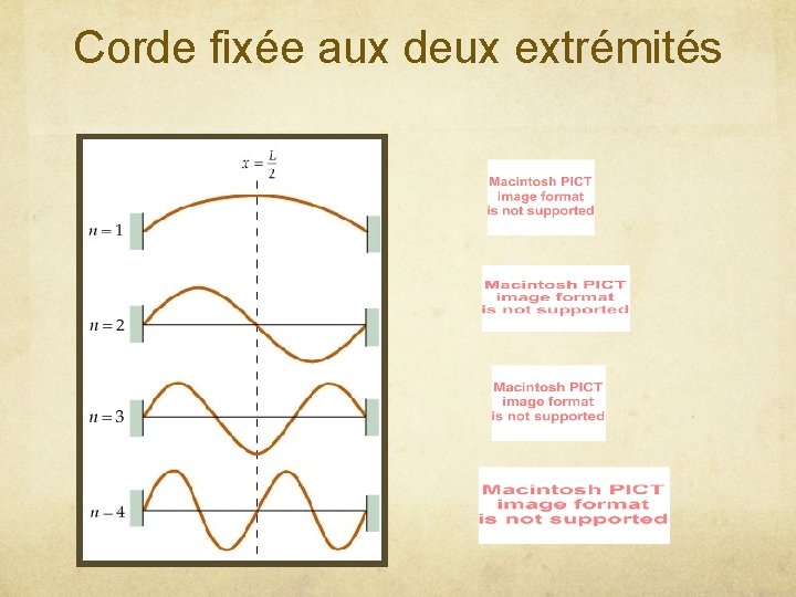 Corde fixée aux deux extrémités 