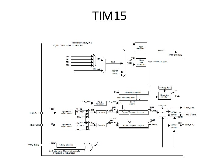 TIM 15 