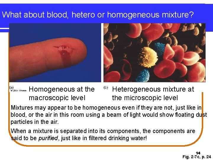 What about blood, hetero or homogeneous mixture? Homogeneous at the macroscopic level Heterogeneous mixture